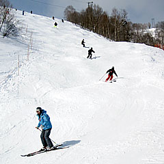 20100214_tsugaike_02.jpg