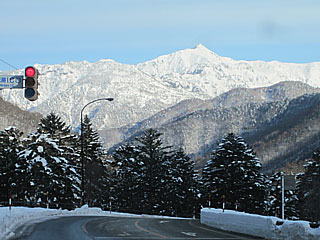 20120118_hounoki_05.jpg