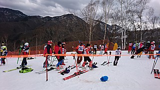 20210403_hounoki_10.jpg